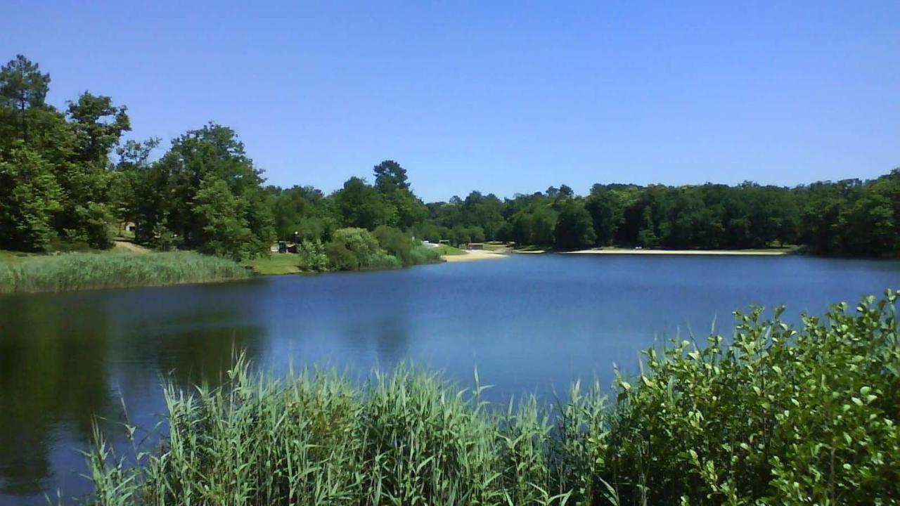 La Colline De Tilleul - Les Deux Puits - Cosy Cottage With Swimming Pool Near Aubeterre Saint-Romain  ภายนอก รูปภาพ